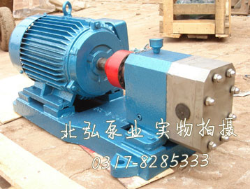 外潤(rùn)滑齒輪油泵